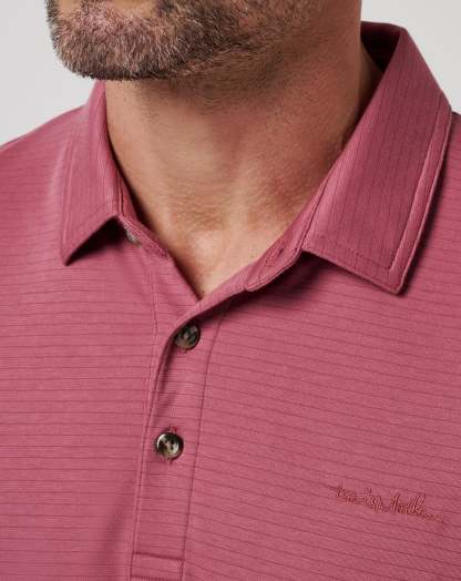 The Zinna 2.0 Polo