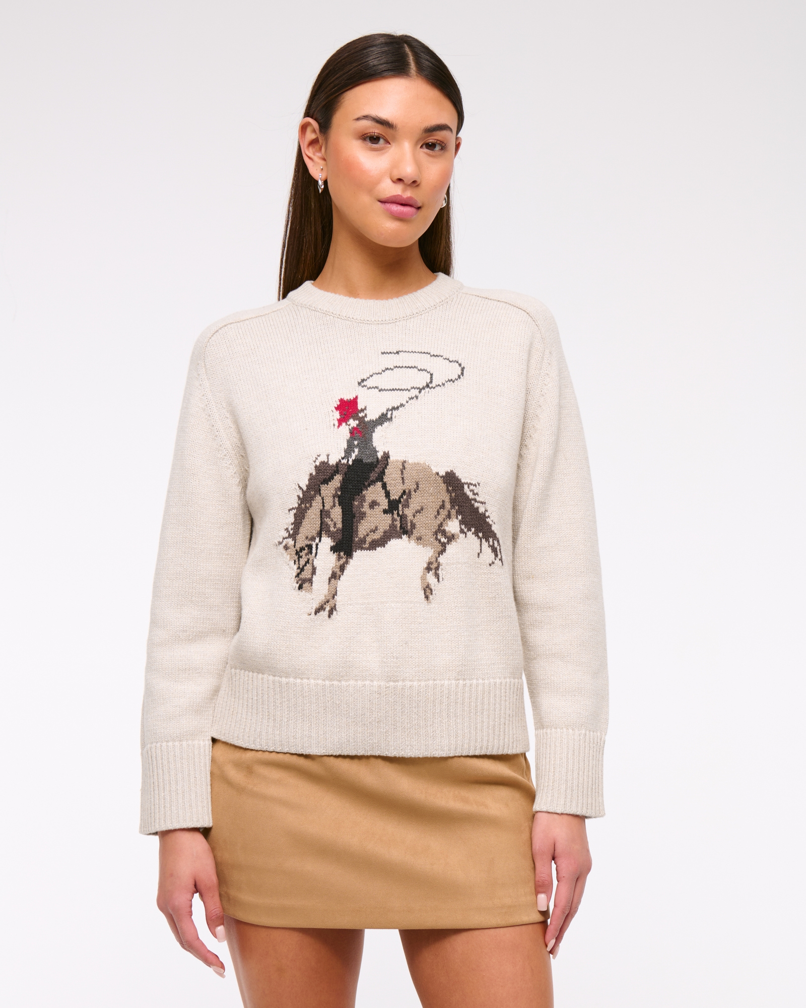 The A&F Madeline Western Crew Sweater