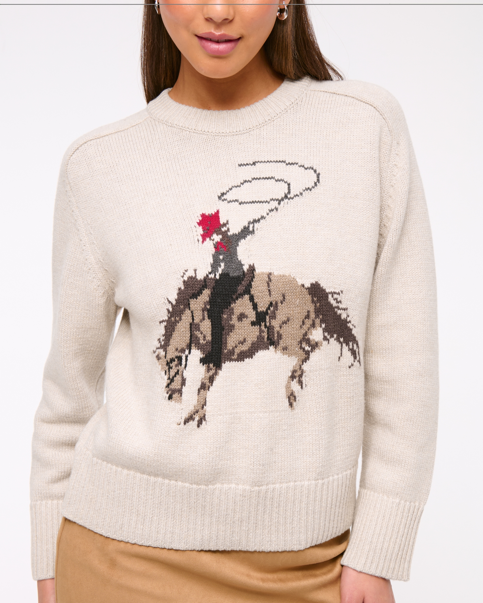 The A&F Madeline Western Crew Sweater