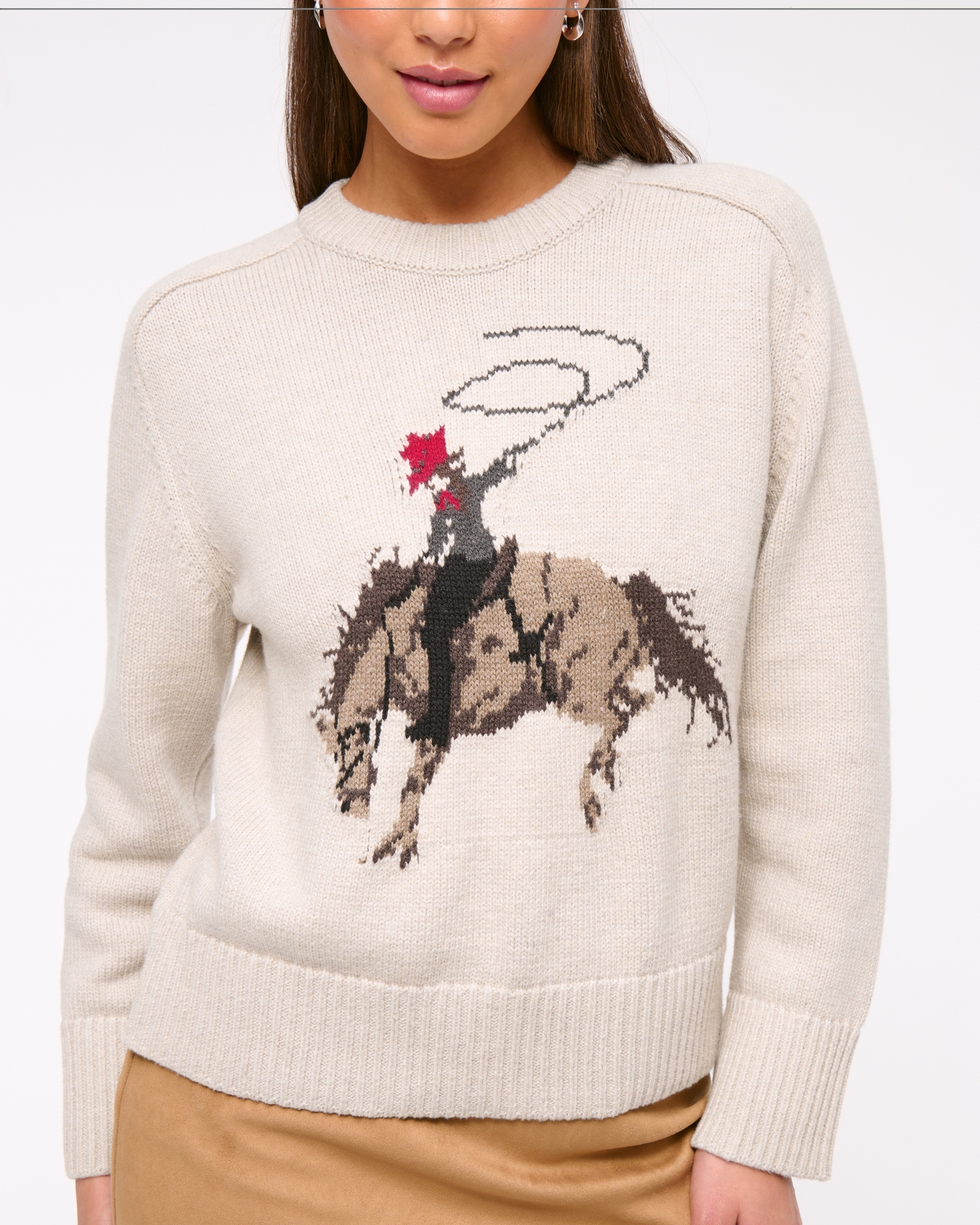 The A&F Madeline Western Crew Sweater
