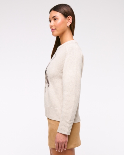 The A&F Madeline Western Crew Sweater