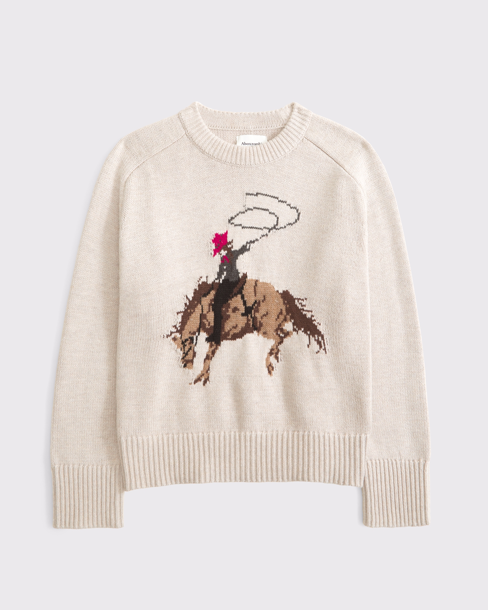 The A&F Madeline Western Crew Sweater