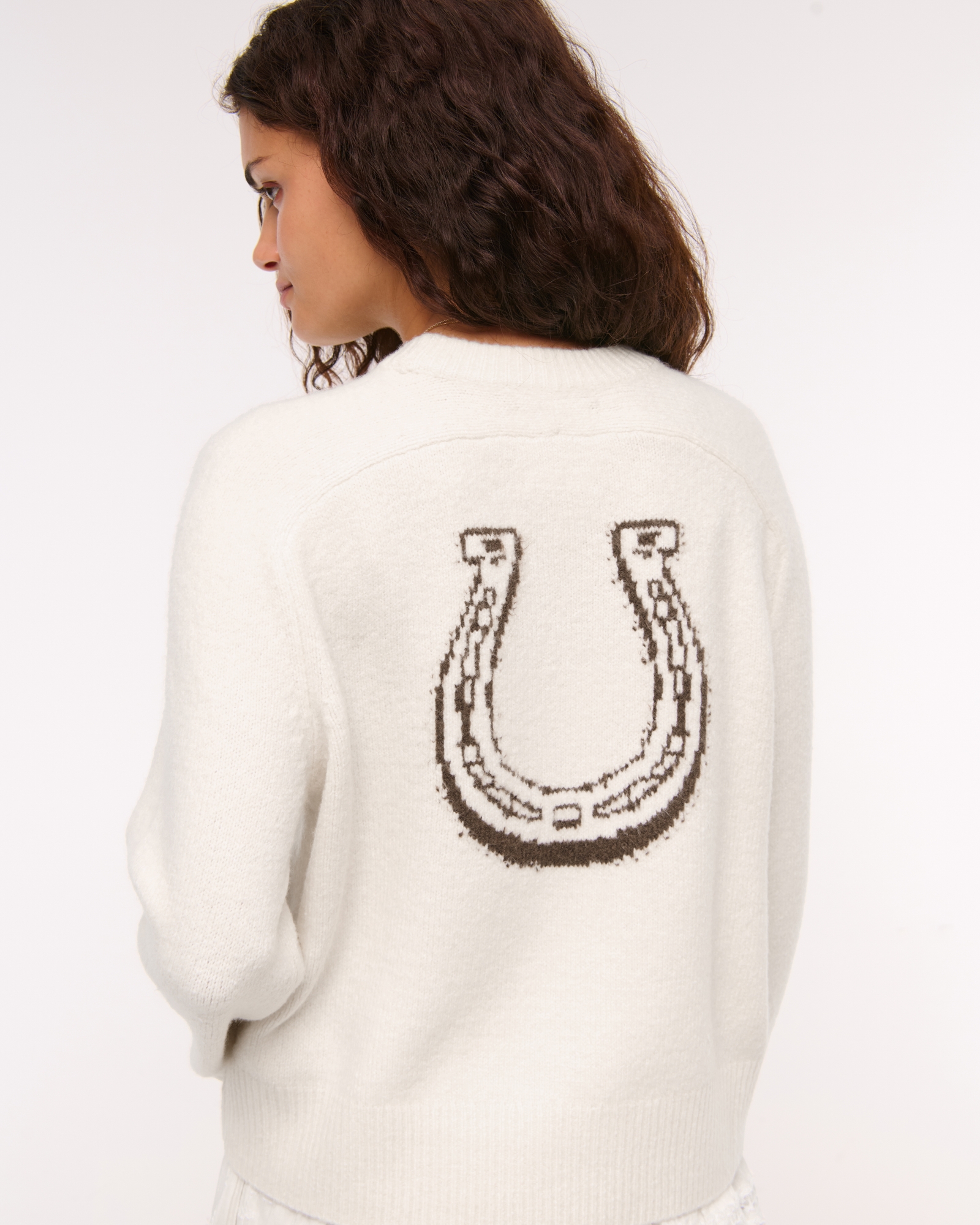 The A&F Madeline Western Crew Sweater