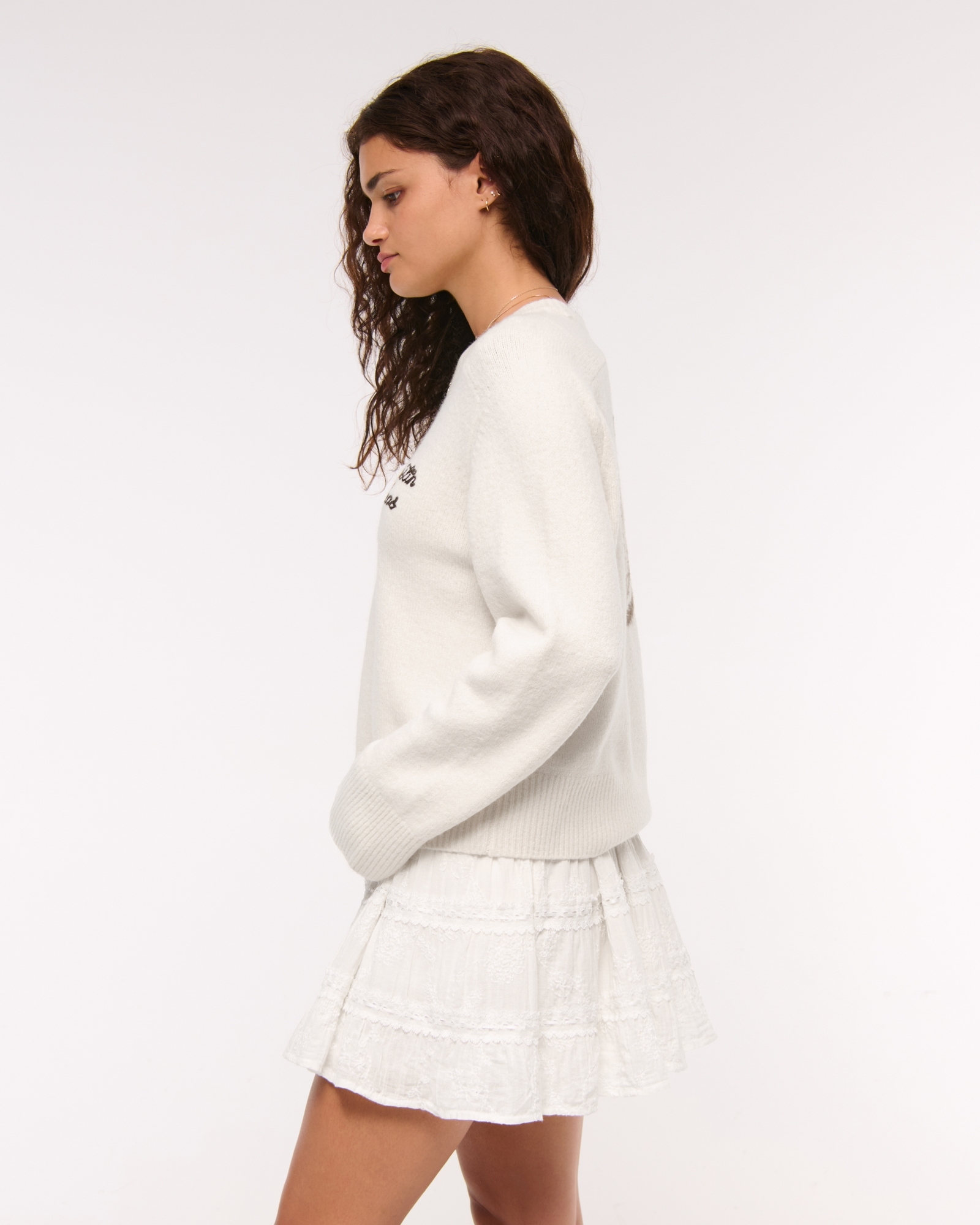 The A&F Madeline Western Crew Sweater