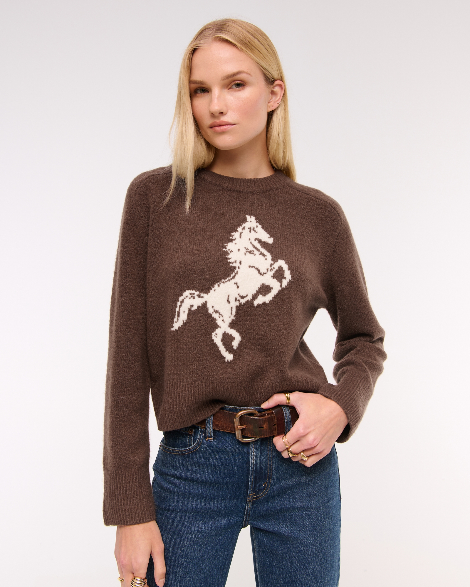 The A&F Madeline Western Crew Sweater
