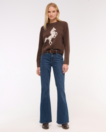 The A&F Madeline Western Crew Sweater