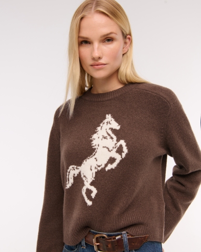 The A&F Madeline Western Crew Sweater