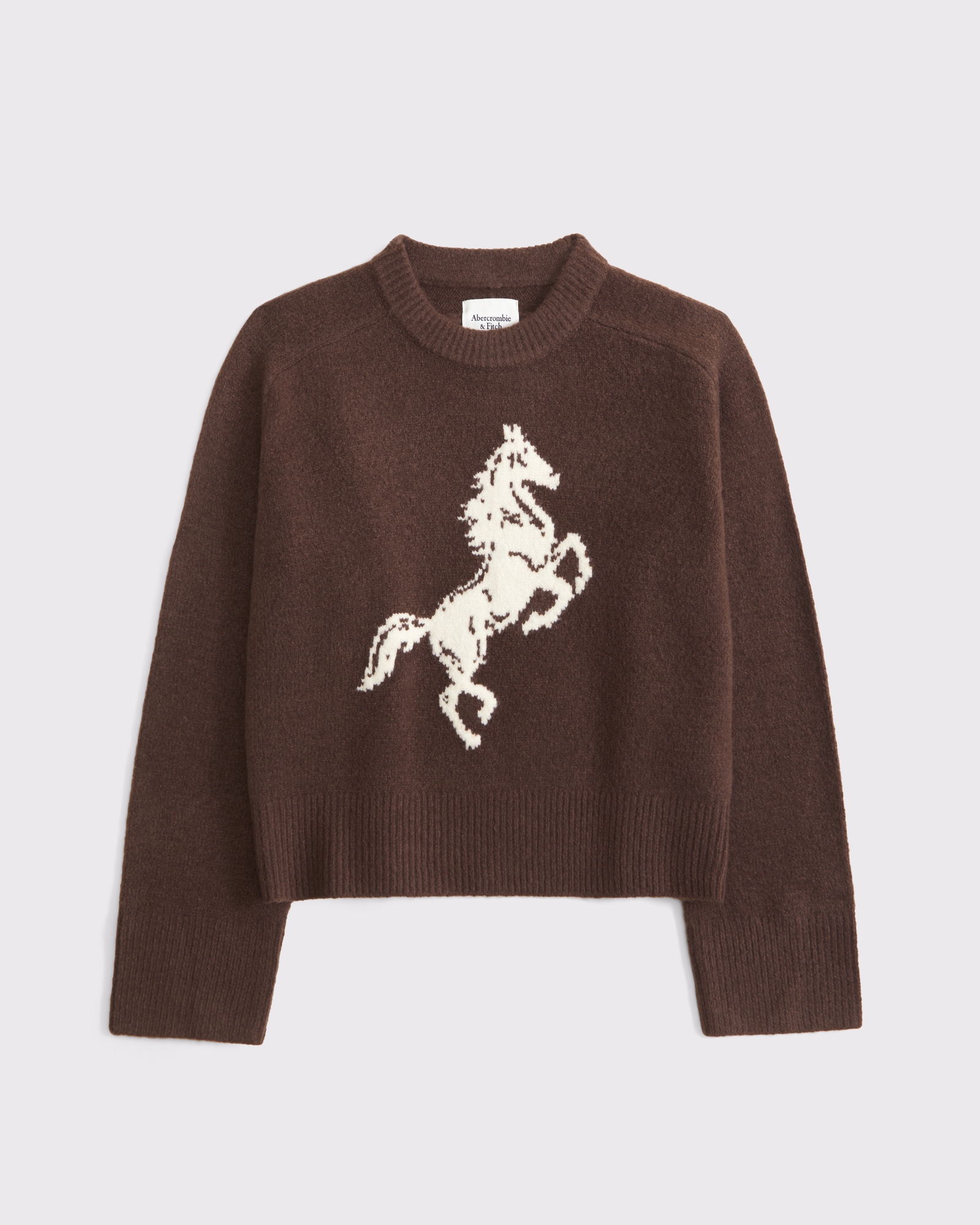 The A&F Madeline Western Crew Sweater