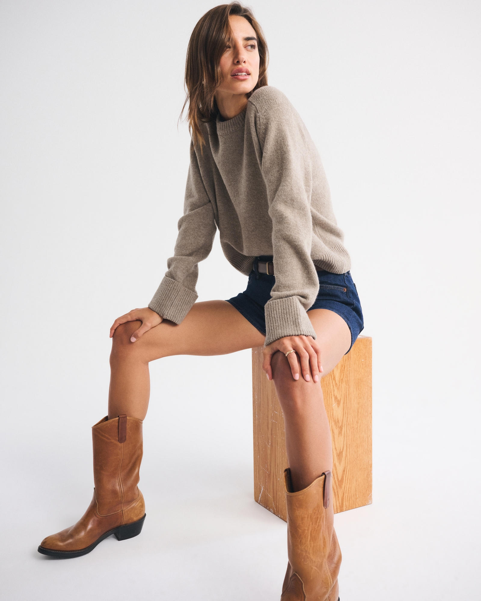 The A&F Madeline Western Crew Sweater