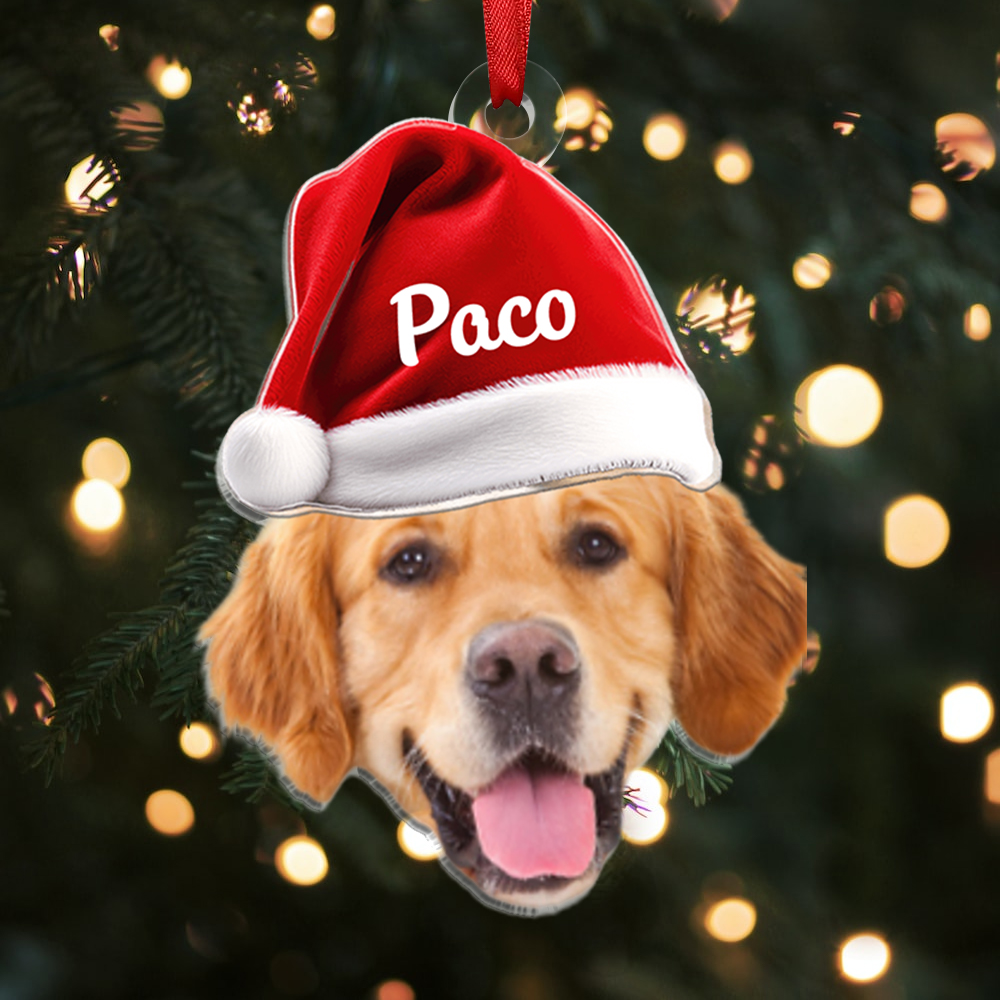 Décoration Sapin Noël pour Animaux