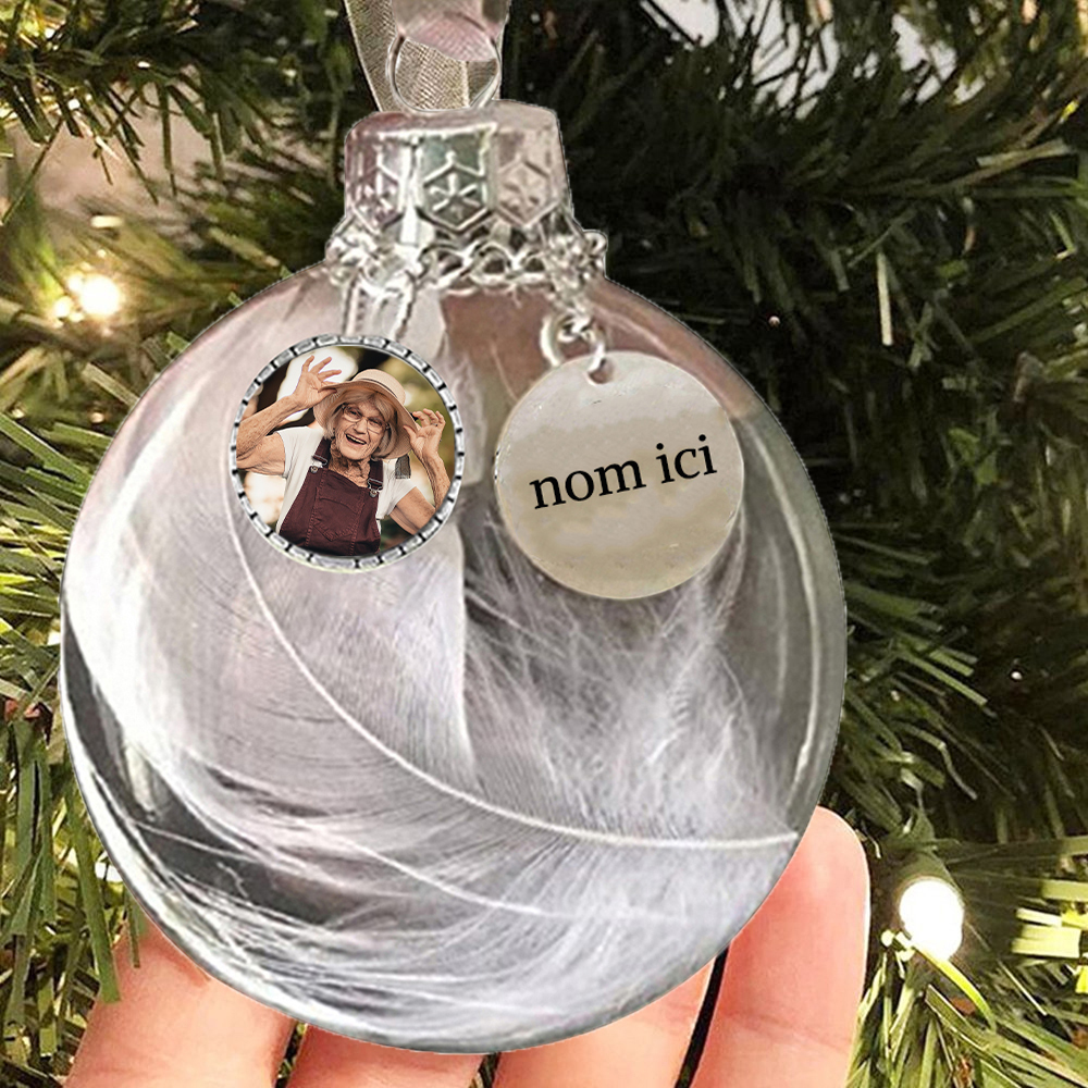 Boule transparente de plumes Ornements