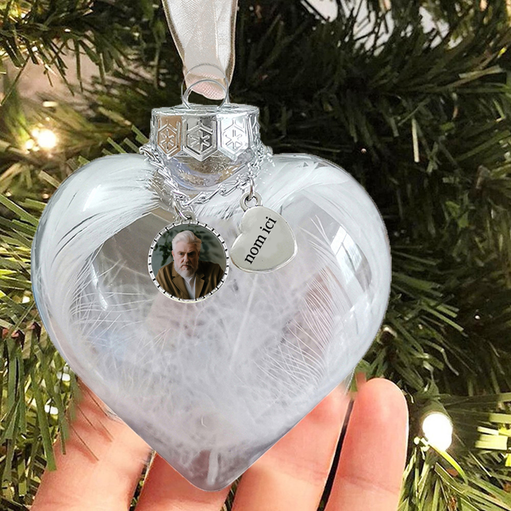 Boule transparente de plumes En forme de coeur Ornements