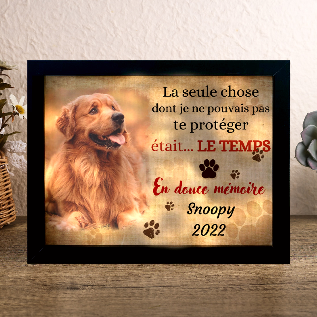 Jessemade FR Pour animaux - Cadre en bois personnalisé 1 Prénoms avec 1 photo et années LED