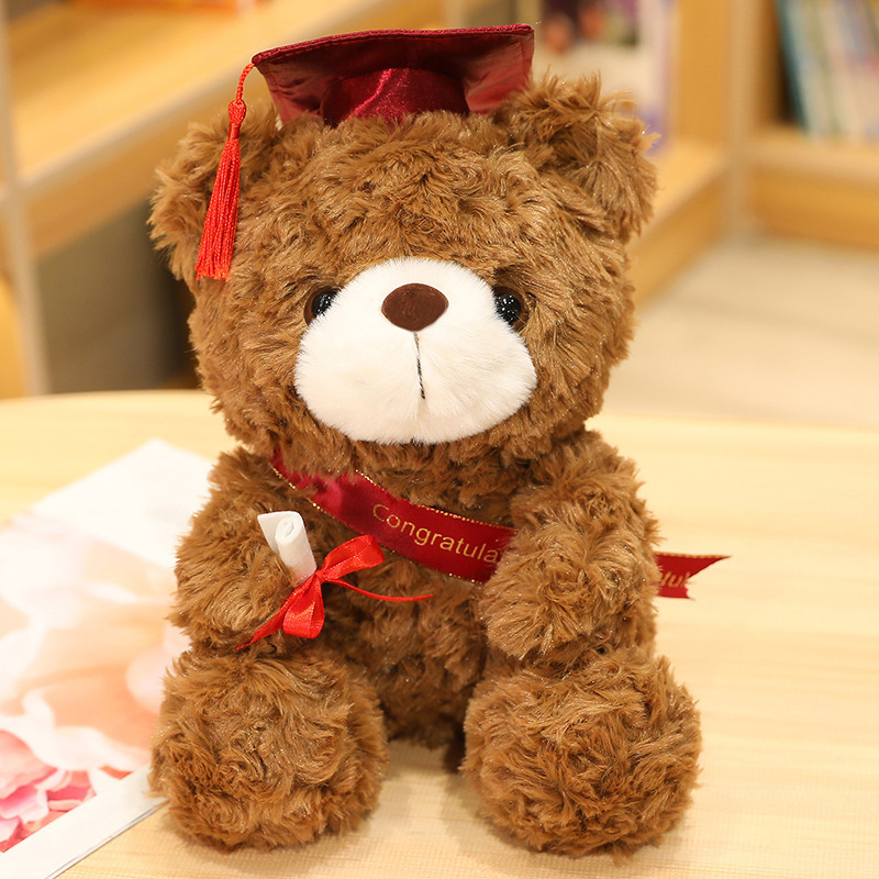 Ours en Peluche pour fêter Un Diplômé Cadeau de Graduation