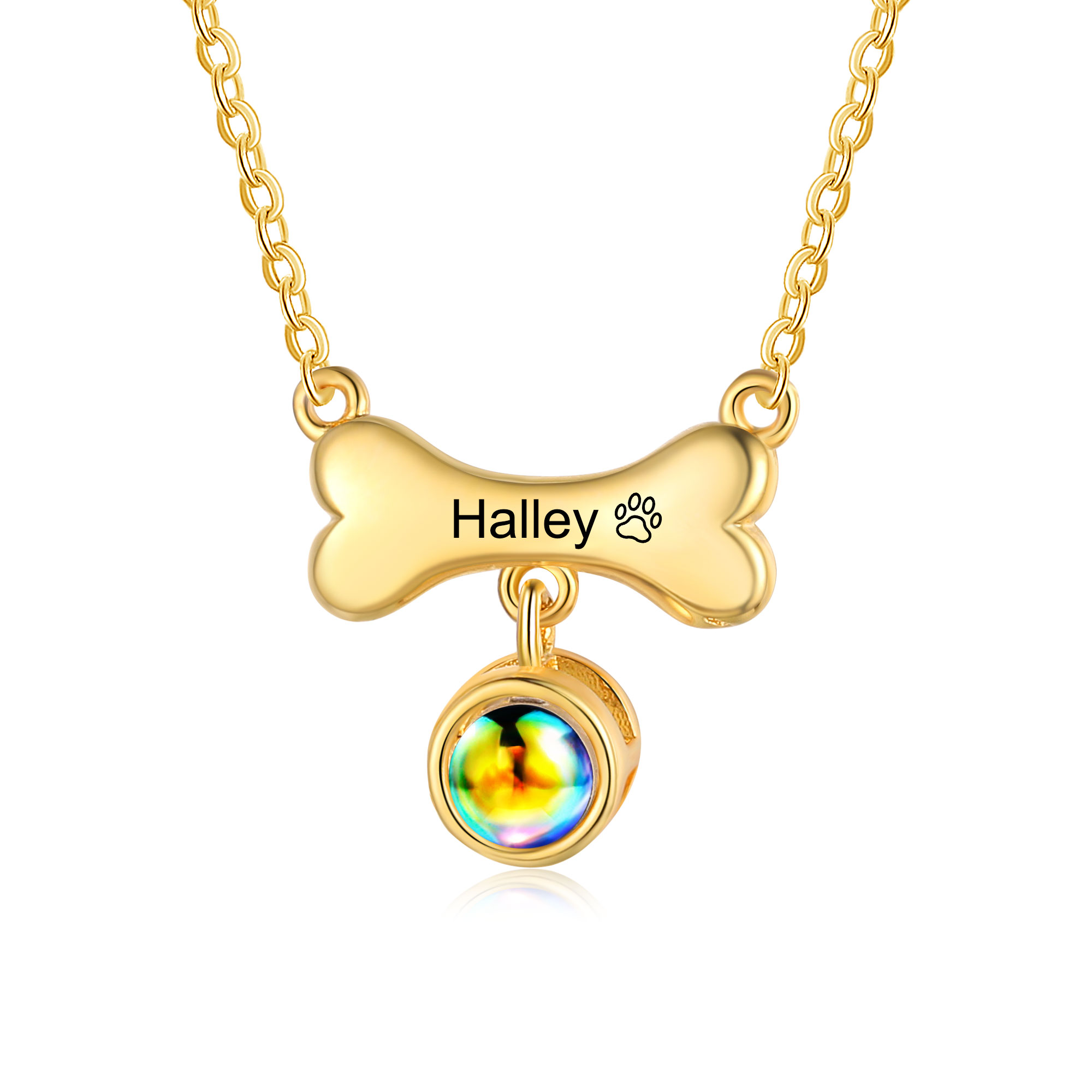 Collier de Projection d'os de chien Photo Personnalisée