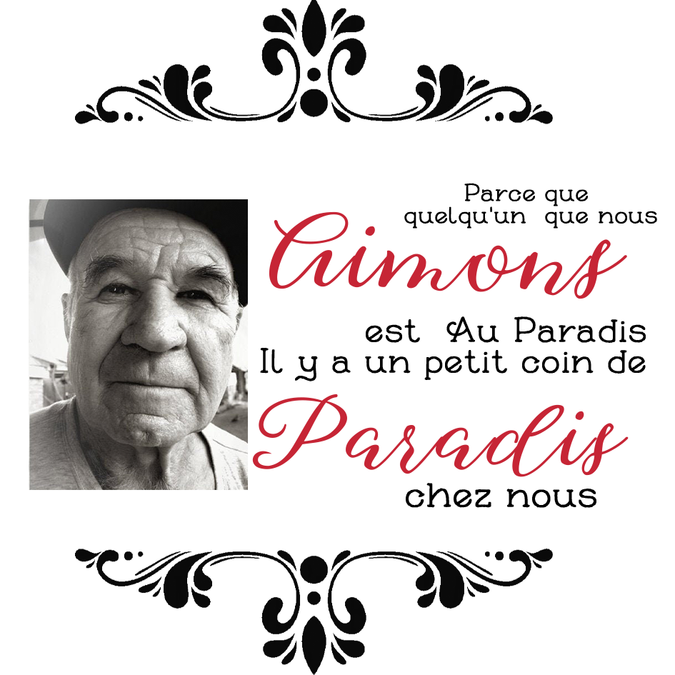 Boule transparente de plumes Ornements Photo Personnalisé boule de noël | Jessemade