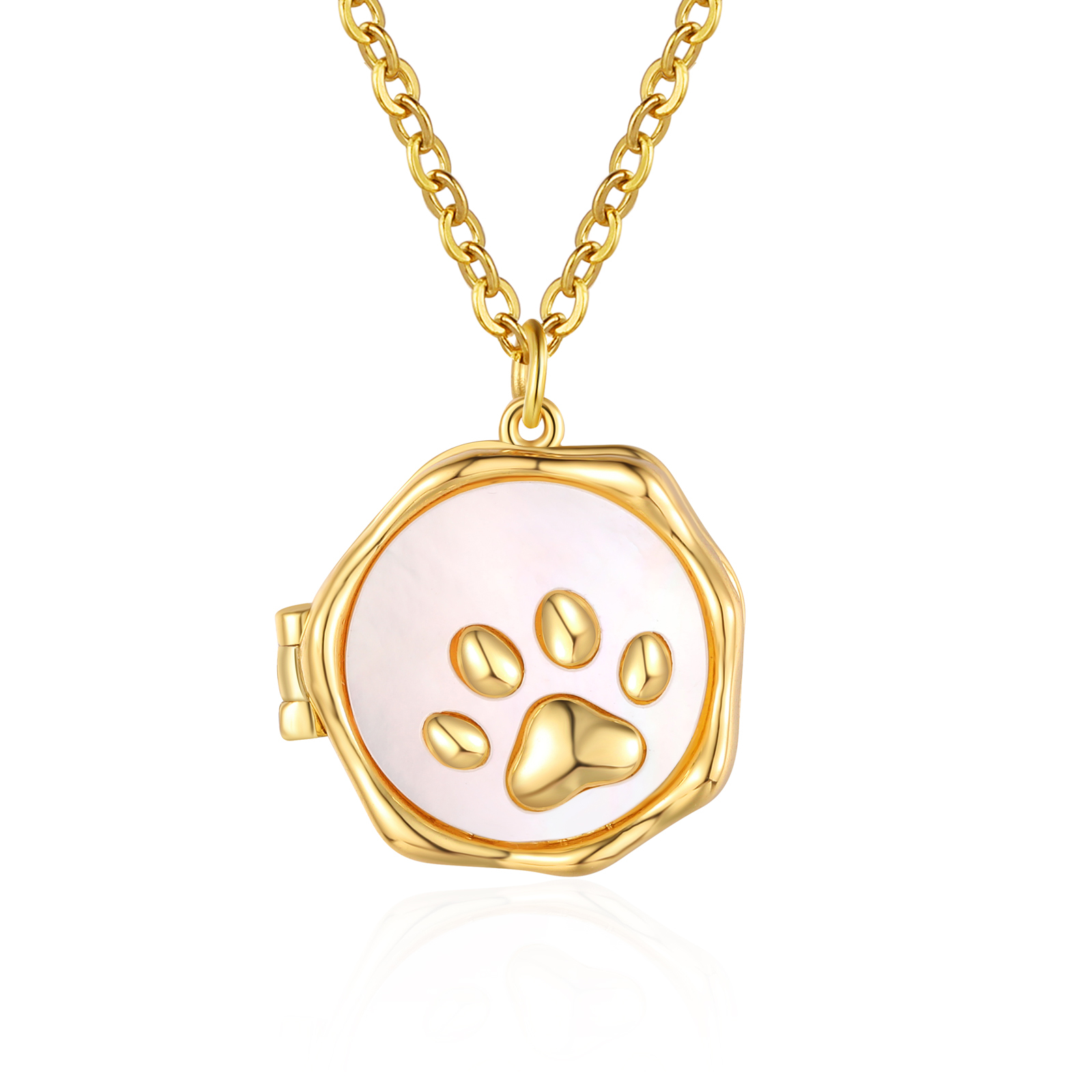Collier Médaillon Empreinte de Patte avec Photo Personnalisée – Cadeau pour Amoureux des Animaux