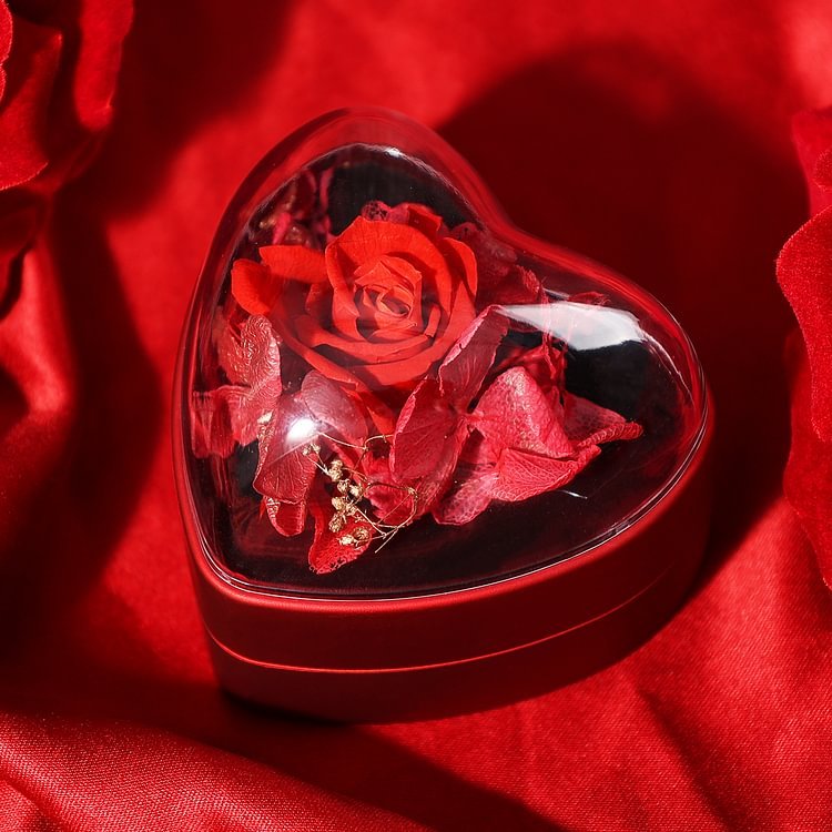 Jessemade FR Boîte en Forme de Cœur Cadeau de Boîte à Bijoux Rose Enchantée