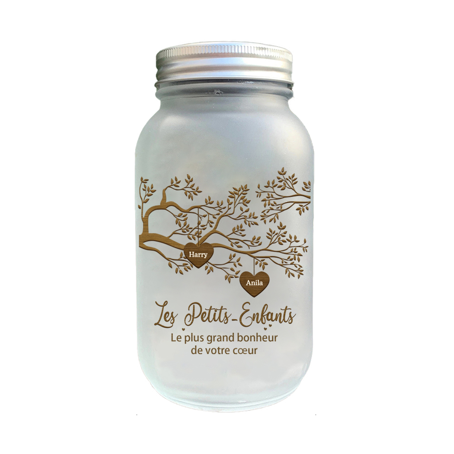 Bouteille lumineuse commémorative Ornements arbre de la famille Noël |