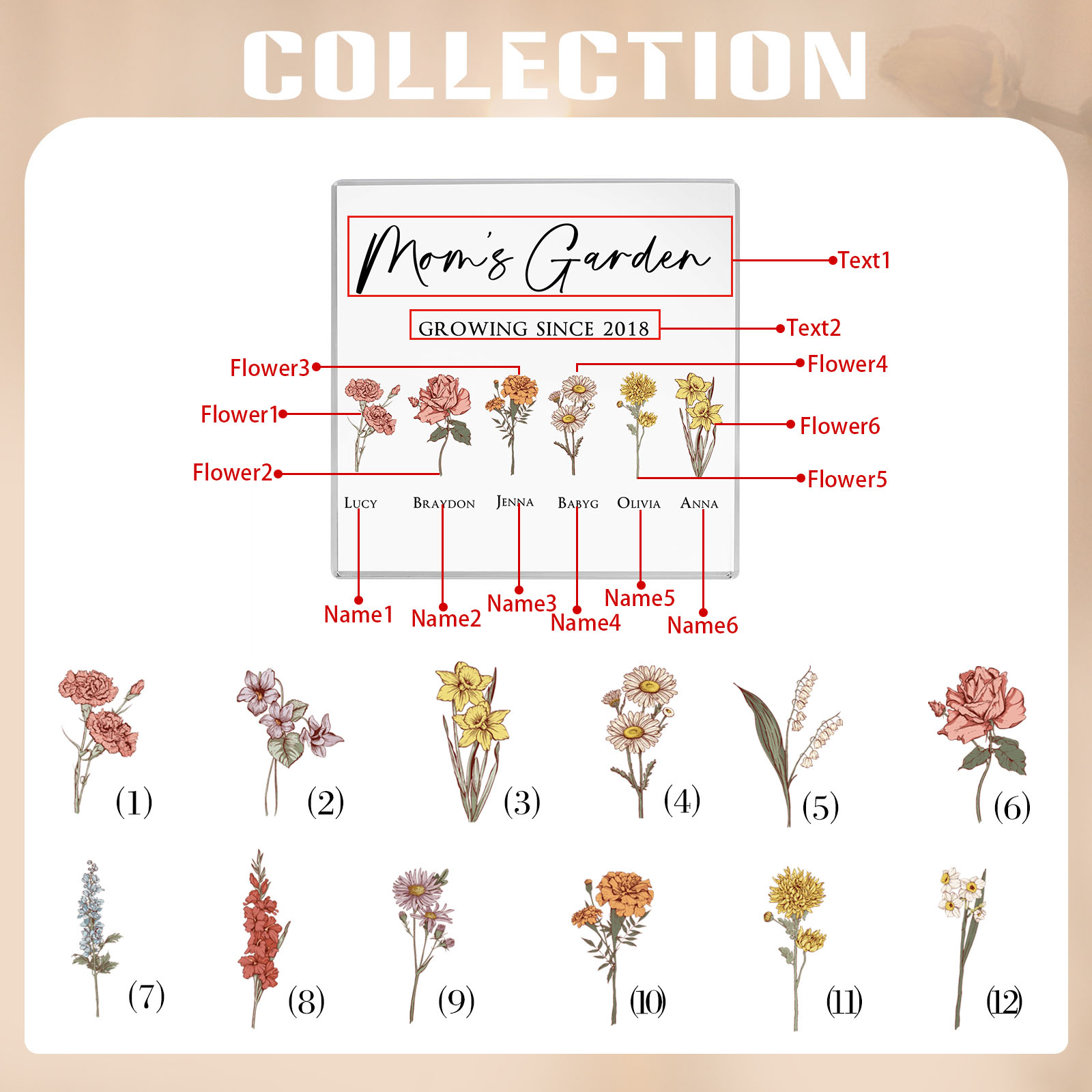 À Maman/Mamie - Plaque Acrylique Personnalisé avec Textes 6 Prénoms et Fleurs de Naissance et Déco de Maison | Jessemade