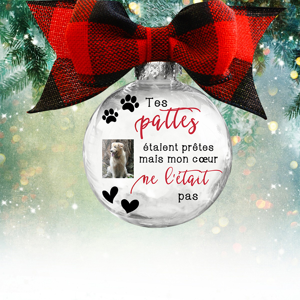 Boule transparente de plumes Petite empreinte de patte pour animaux de