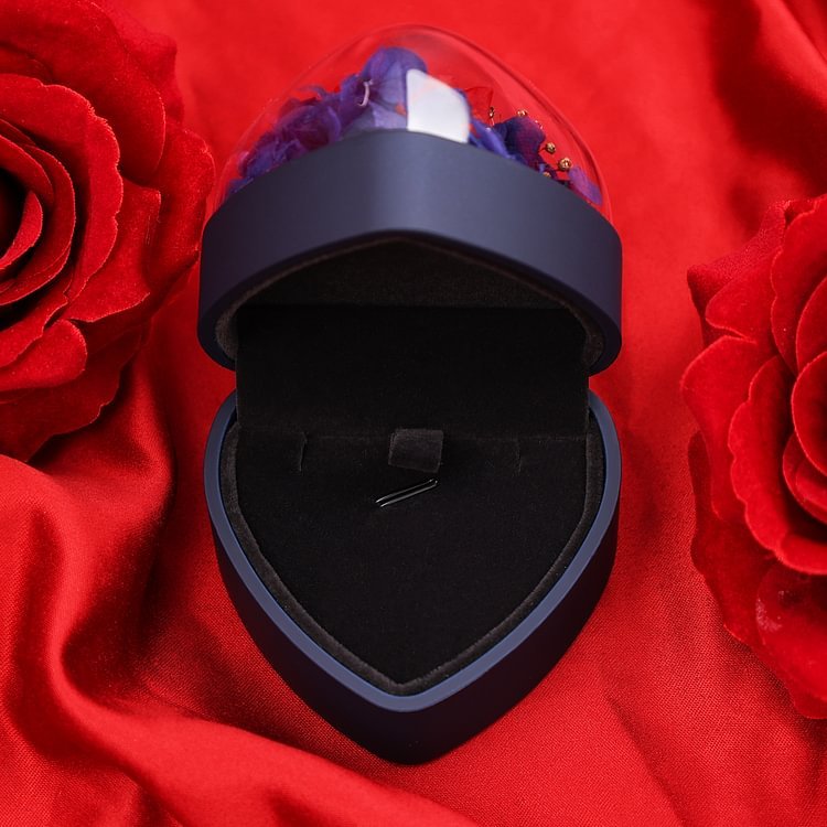 Boîte en Forme de Cœur Cadeau de Boîte à Bijoux Rose Enchantée