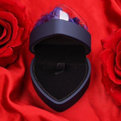 Boîte en Forme de Cœur Cadeau de Boîte à Bijoux Rose Enchantée
