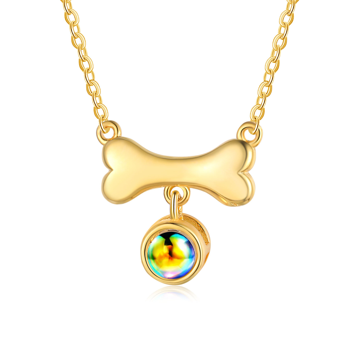 Collier de Projection d'os de chien Photo Personnalisée