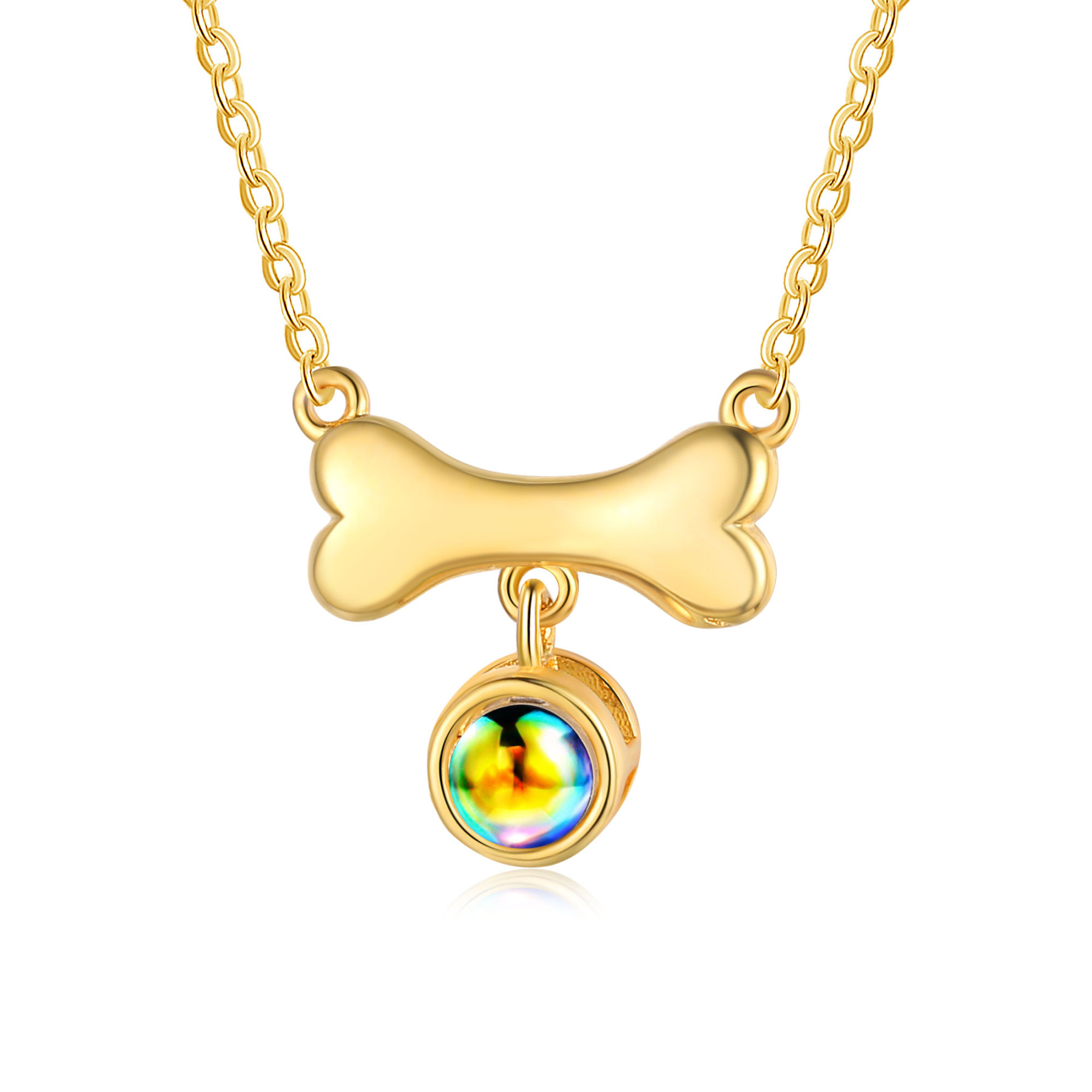 Collier de Projection d'os de chien Photo Personnalisée