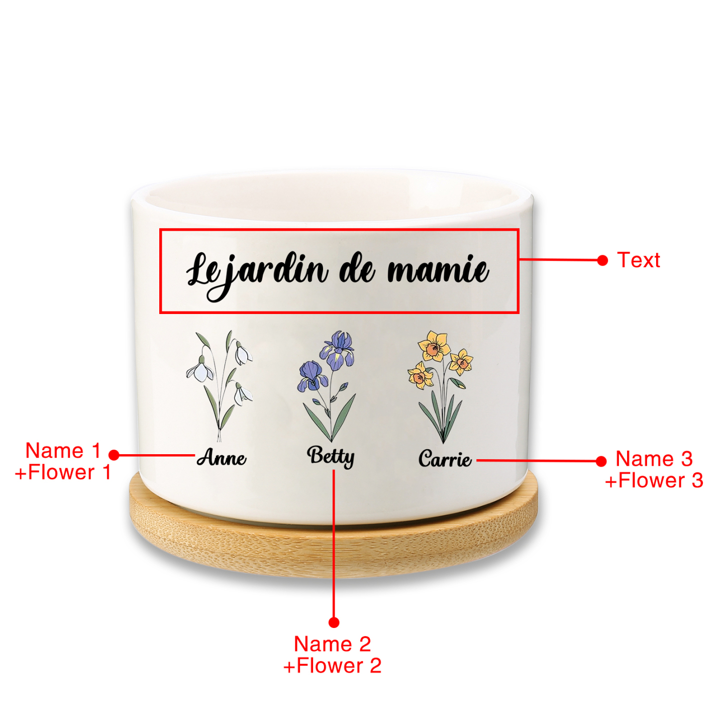 Vase/Pot de Fleurs 3 Prénoms et 1 Texte Personnalisés avec Fleur de Naissance Décoration de la Maison (sans plantes)