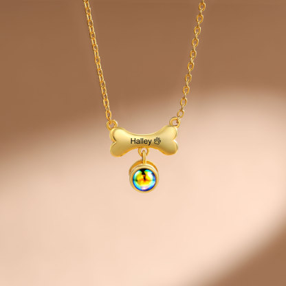 Collier de Projection d'os de chien Photo Personnalisée