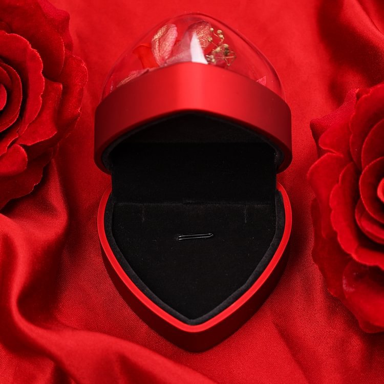 Boîte en Forme de Cœur Cadeau de Boîte à Bijoux Rose Enchantée