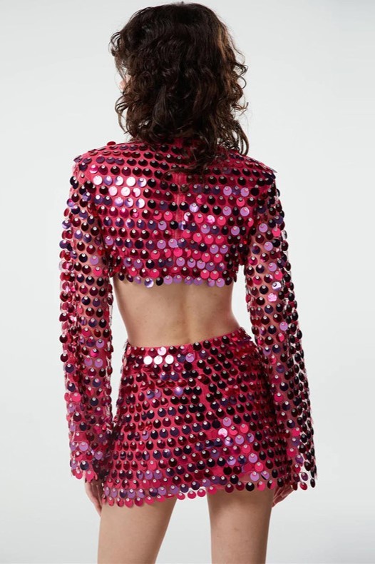 Sequin Round Neck Long Sleeve Mini Dress