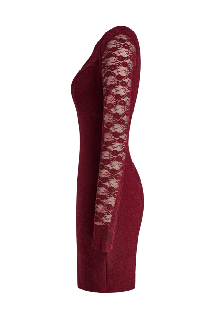 Lace Long Sleeve Cut-Out Mini Dress