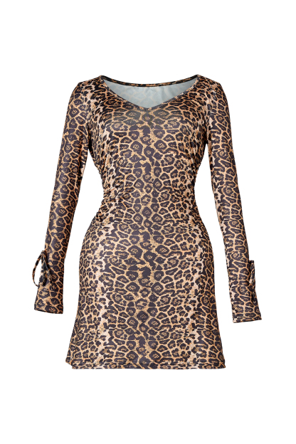 Leopard Print V-Neck Tie-Up Mini  Dress