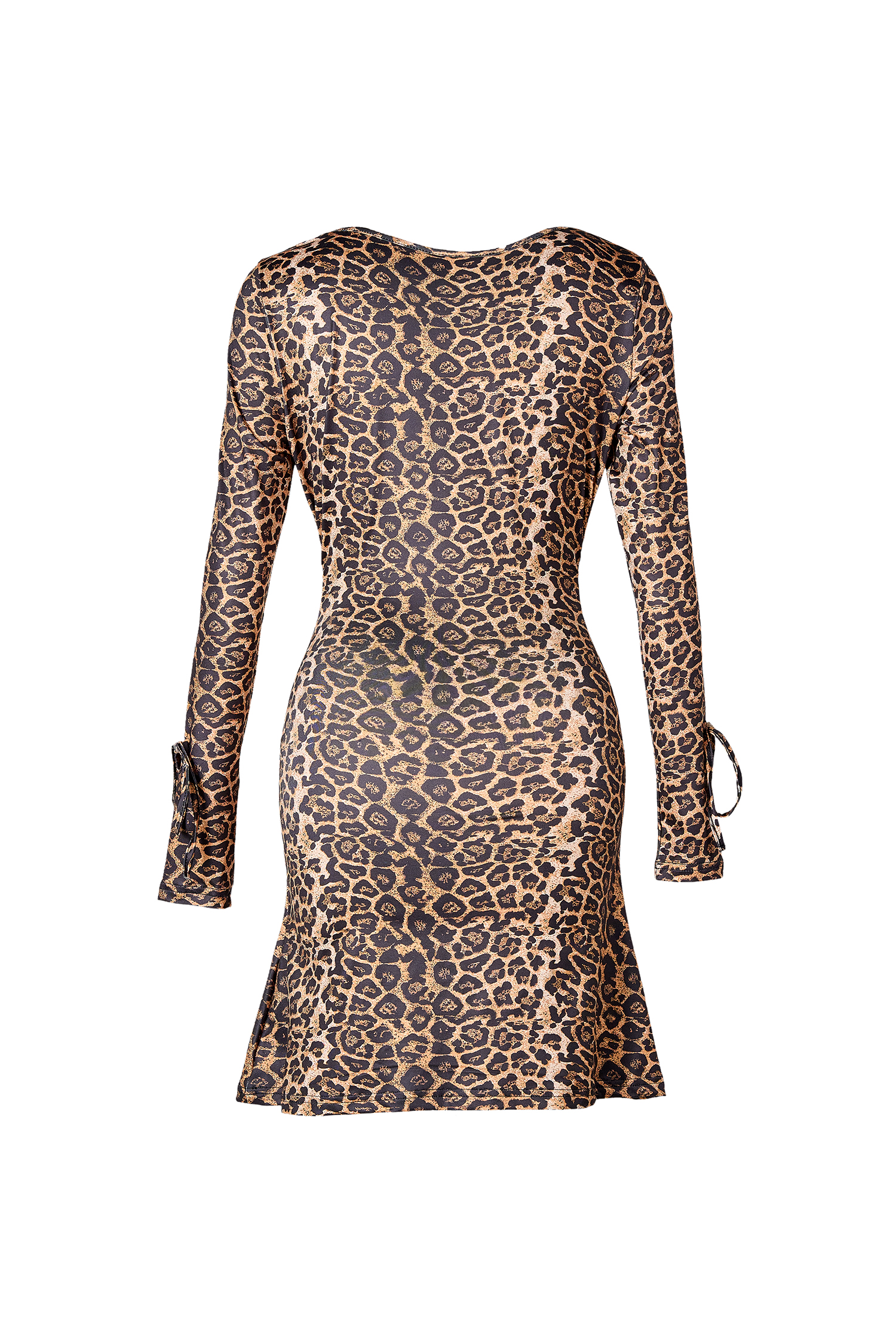 Leopard Print V-Neck Tie-Up Mini  Dress
