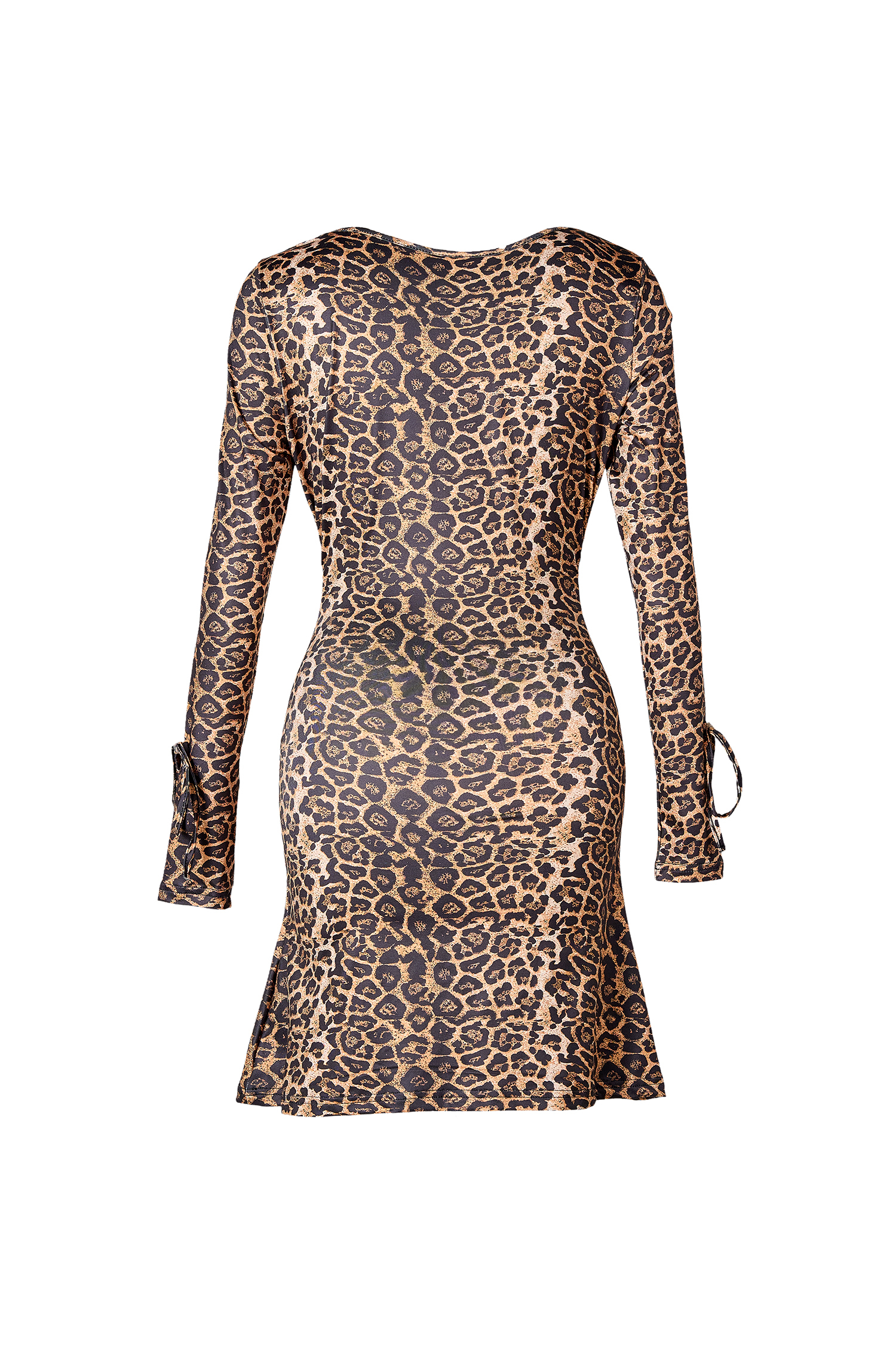 Leopard Print V-Neck Tie-Up Mini  Dress