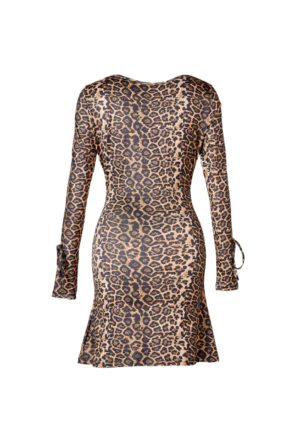 Leopard Print V-Neck Tie-Up Mini  Dress
