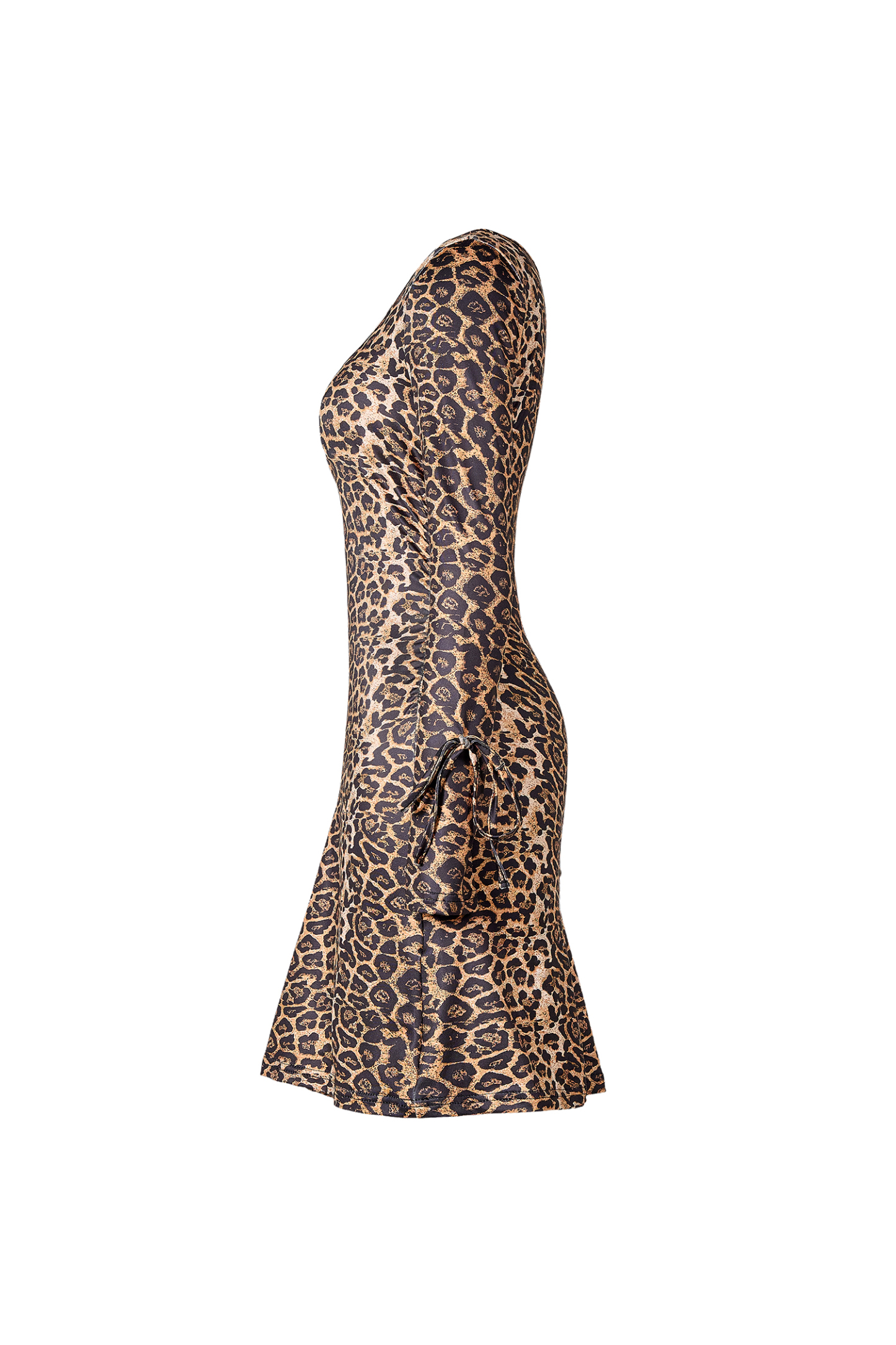 Leopard Print V-Neck Tie-Up Mini  Dress