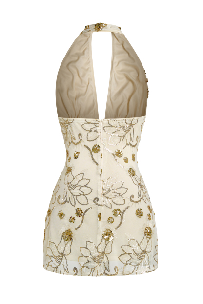 Sequin Embroidered Backless Mini Dress
