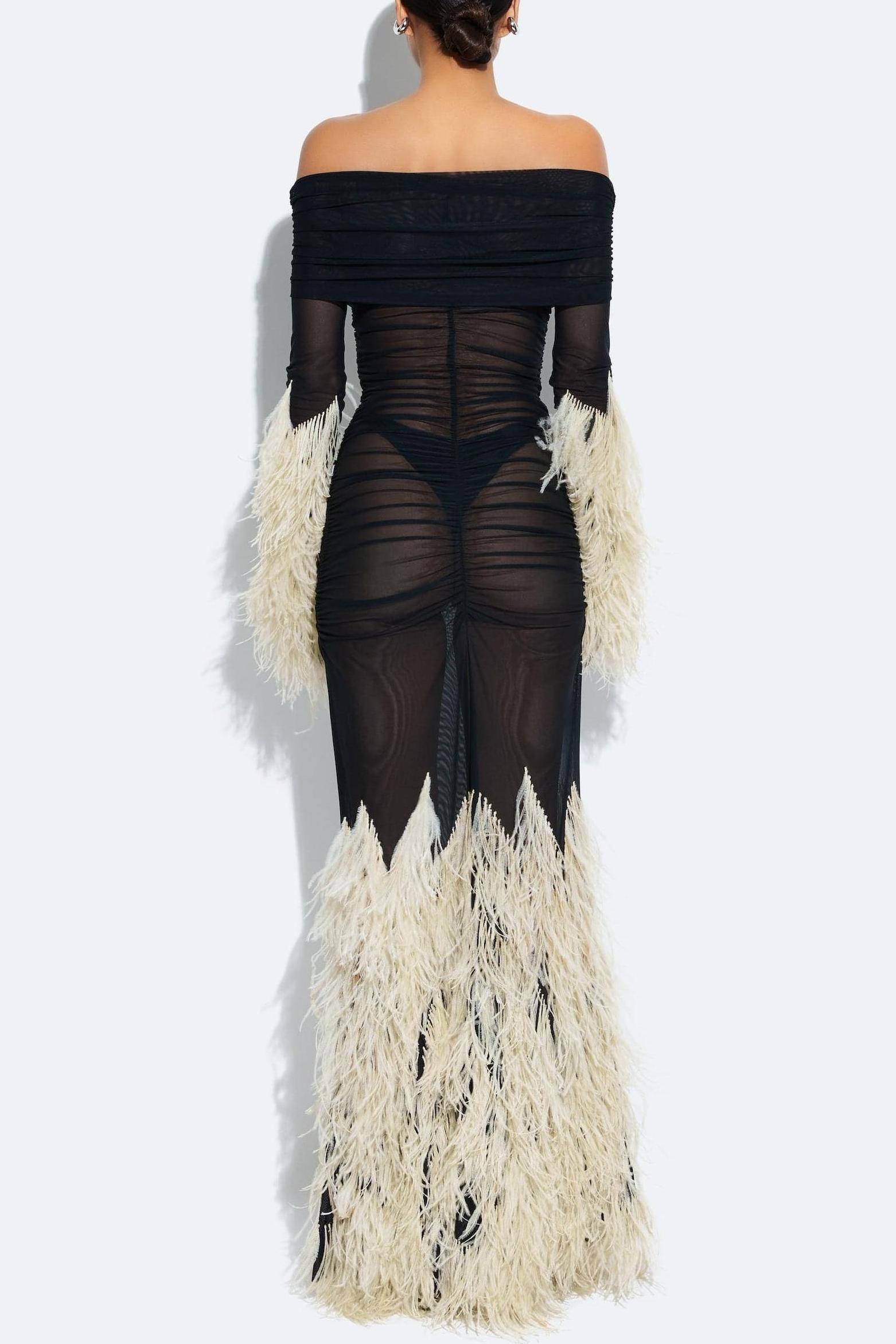 Feathers Splicing Mesh Off-Shoulder Maxi Dress