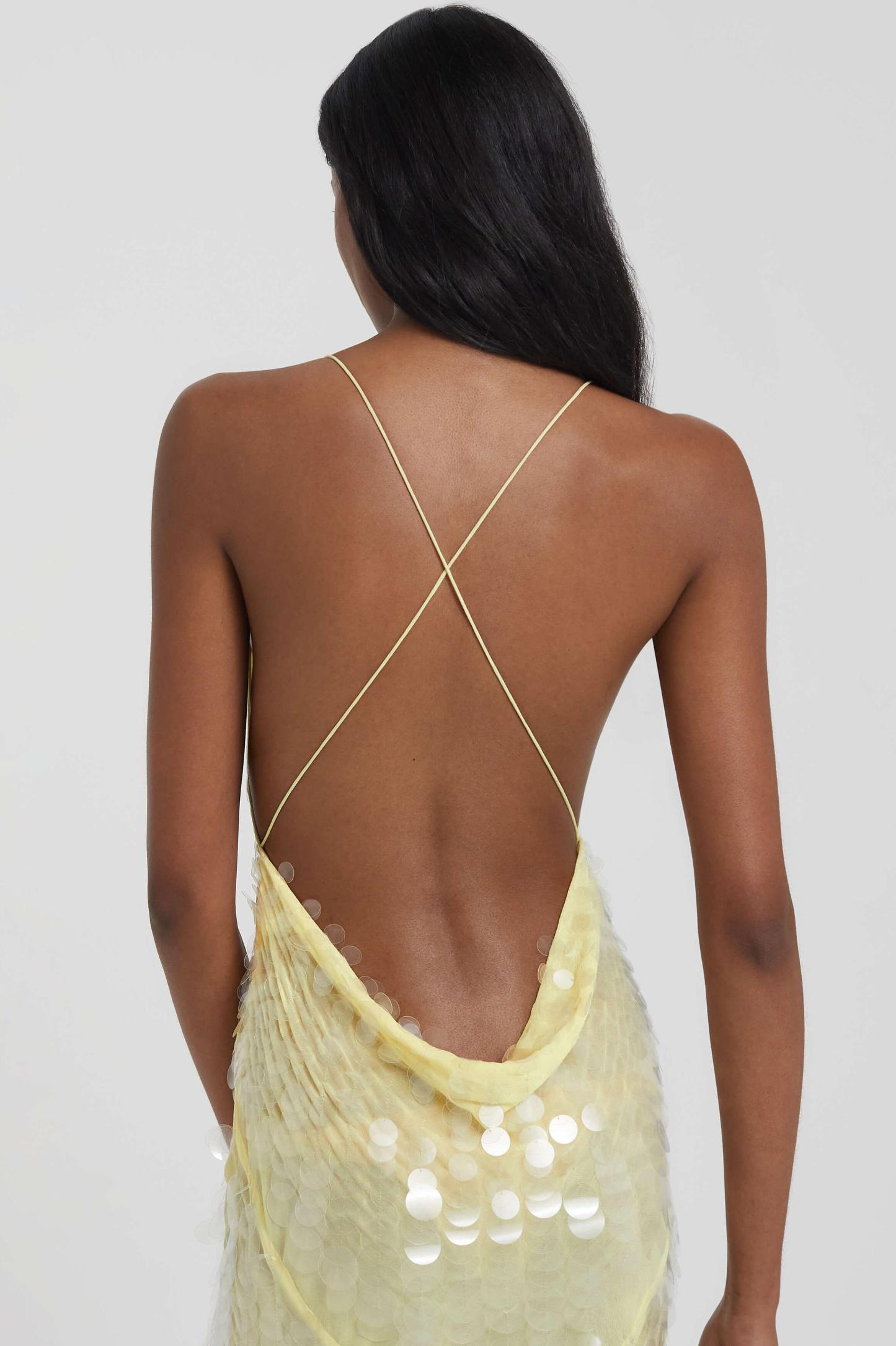 Sequin V-Neck Mesh Sleeveless Maxi Dress