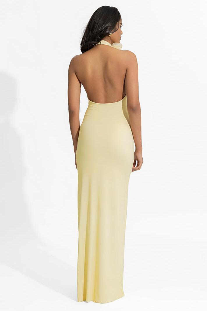 3D Flower Halter Neck Backless Maxi Dress