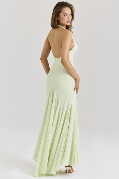 Halter Neck Mesh Backless Maxi Dress