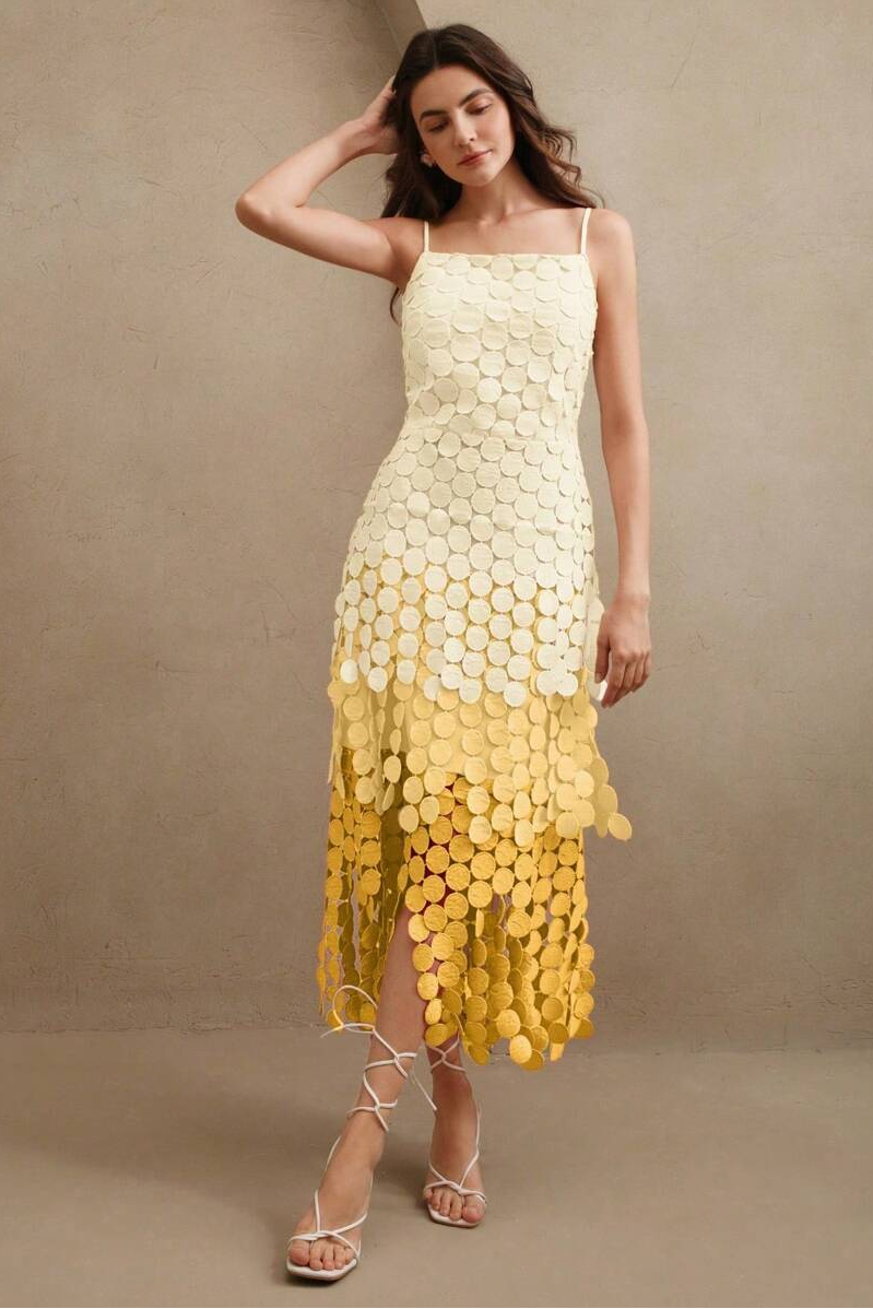 Gradient Color Dot Embroidered Midi Dress