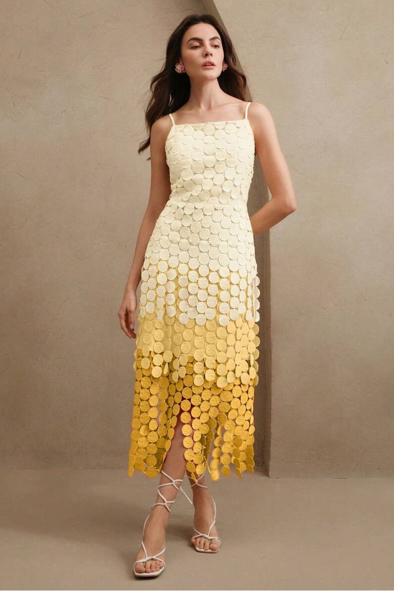 Gradient Color Dot Embroidered Midi Dress