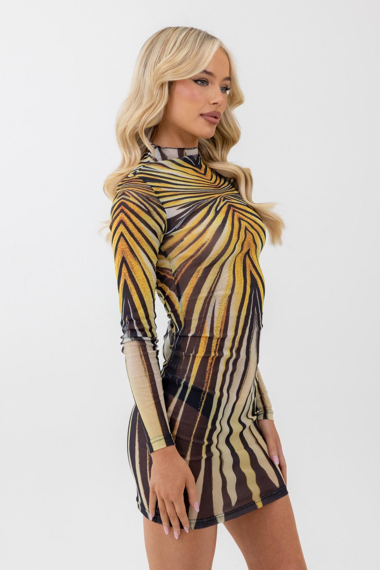 Mesh Long Sleeve Abstract Print Mini Dress