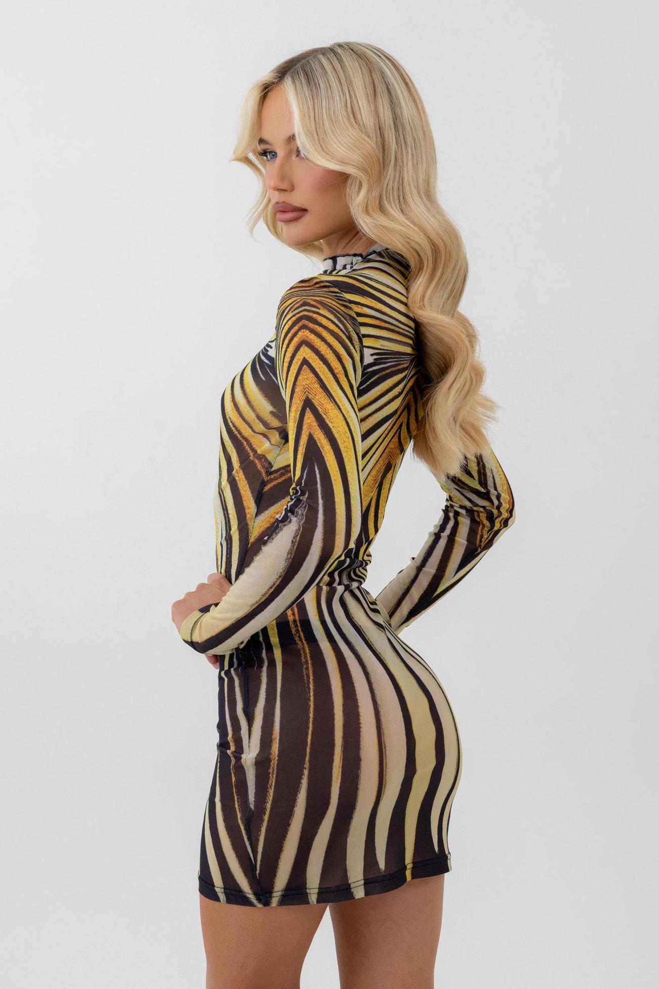 Mesh Long Sleeve Abstract Print Mini Dress
