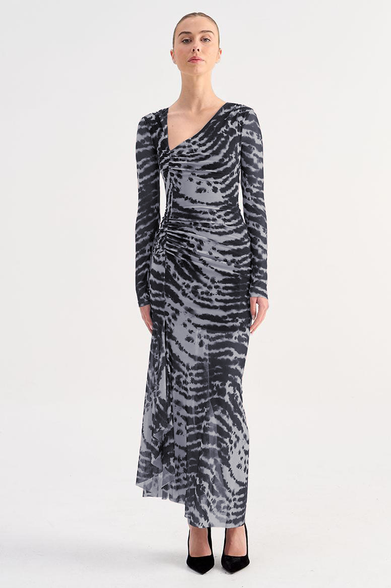 Mesh Zebra Print Long Sleeve Maxi Dress