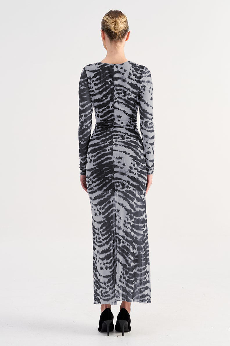 Mesh Zebra Print Long Sleeve Maxi Dress
